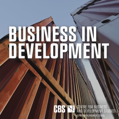 Cover of Business in Development